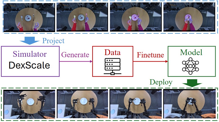 DexScale